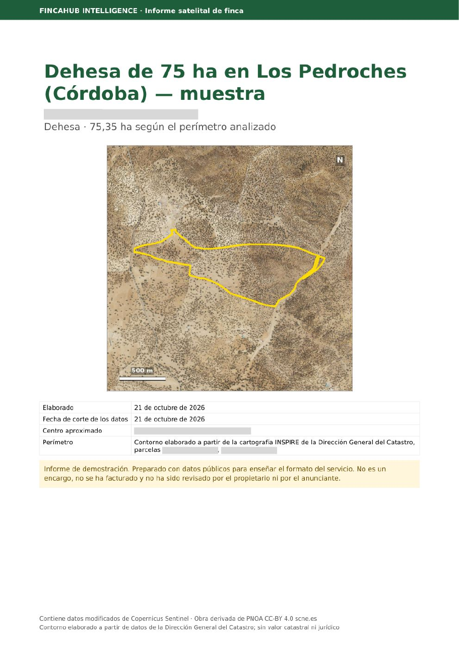 Portada del informe de muestra